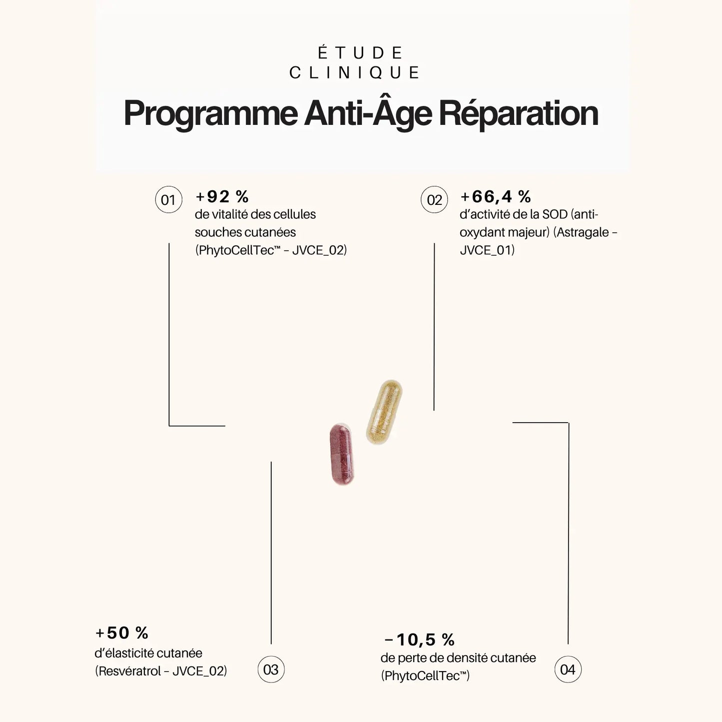 Programme Anti-Âge Réparation – Cure Ciblée Rides & Fermeté Hectyl