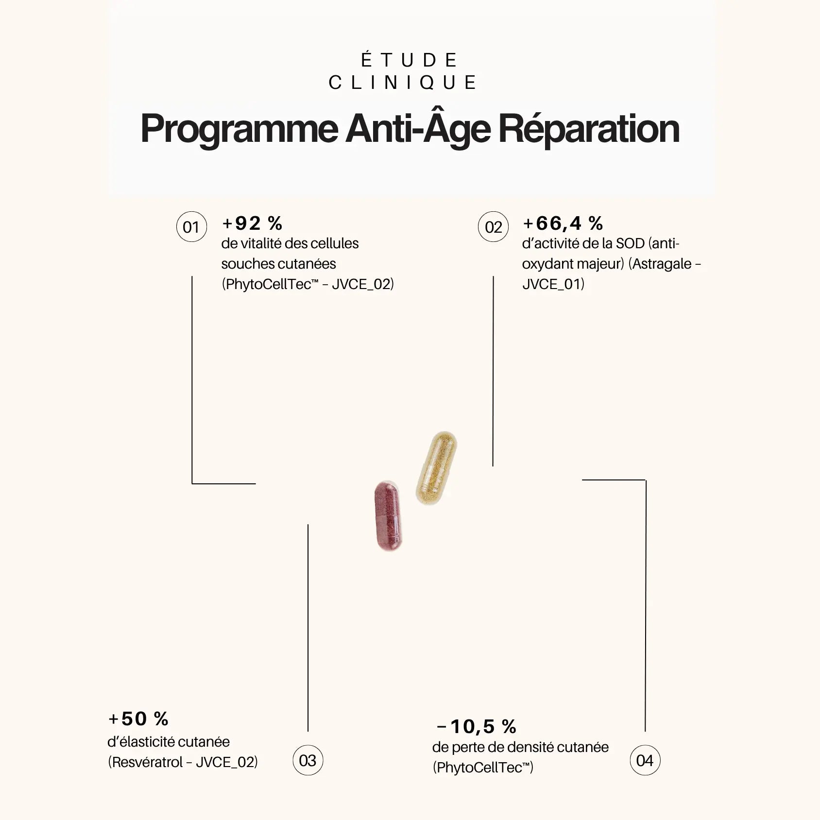 Programme Anti-Âge Réparation – Cure Ciblée Rides & Fermeté Hectyl