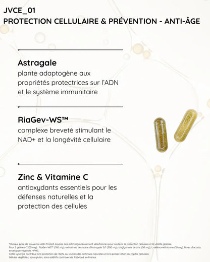 Protection Cellulaire & Prévention - Anti-âge Hectyl